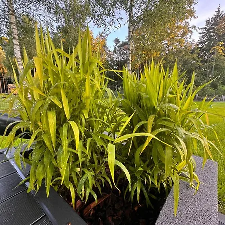 וילה Grandbytyn House Nakielno