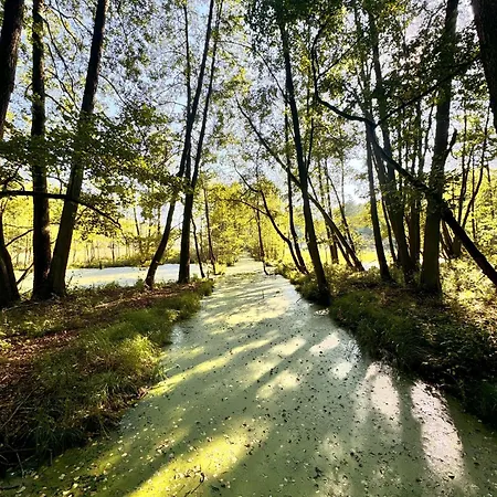 Grandbytyn House Villa