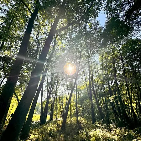 Villa Grandbytyn House Nakielno