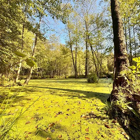 Grandbytyn House וילה