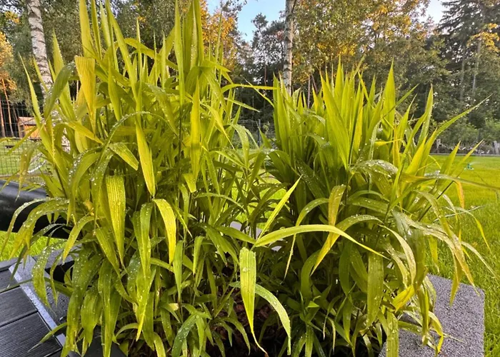 Villa Grandbytyn House Nakielno