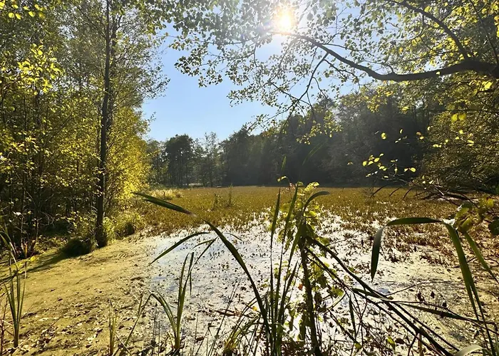 Grandbytyn House Villa *