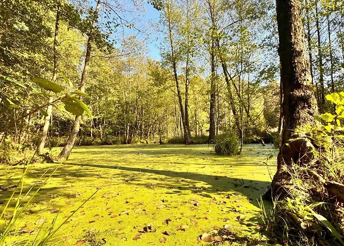 Grandbytyn House Villa